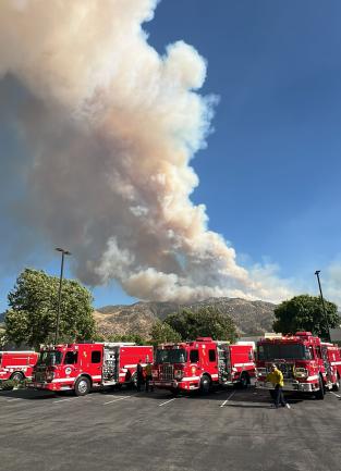 A view of the Wolf Fire burning in Riverside County this summer. Photo credit: Riverside County Fire Department Volunteer Photographer, Bill Thost